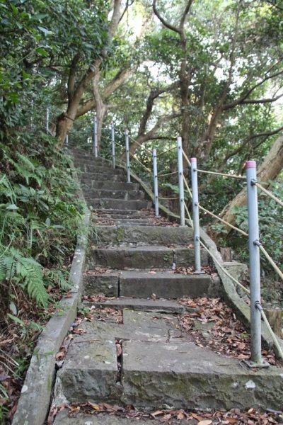 1070628占山步道3099072
