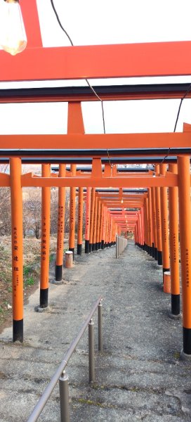 九州福岡：俳句の山&鳥羽稻荷大神：神社2999415