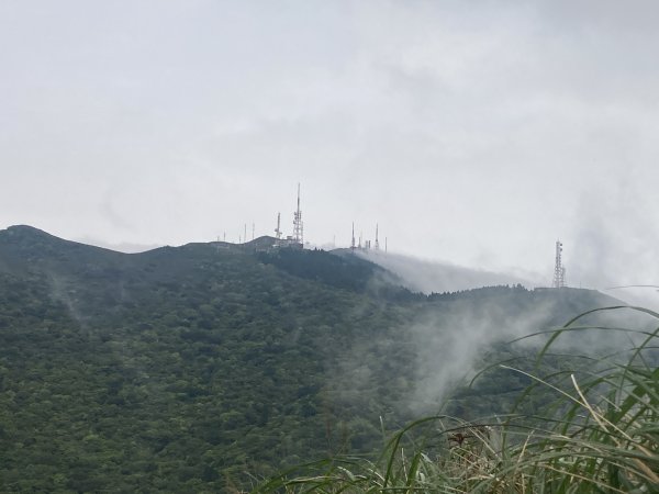 大屯山登山步道2472580