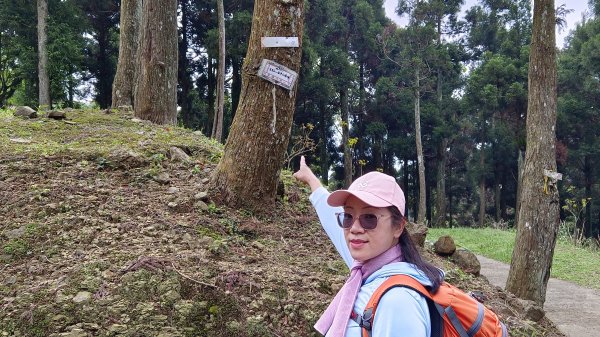 (姨婆趴趴走)第二集:桃園金牌縱走，攀登金平山、金平山南峰、牌子山，順道造訪三民蝙蝠洞2104914