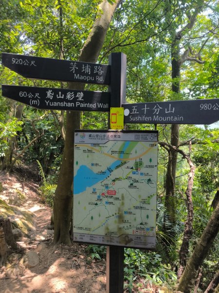 20250824鳶山彩壁2868535