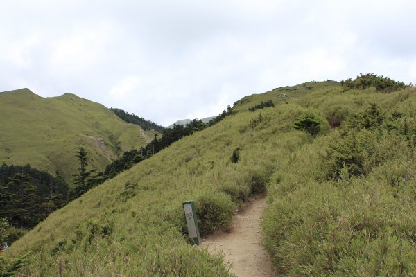 20200625南投石門山1021863