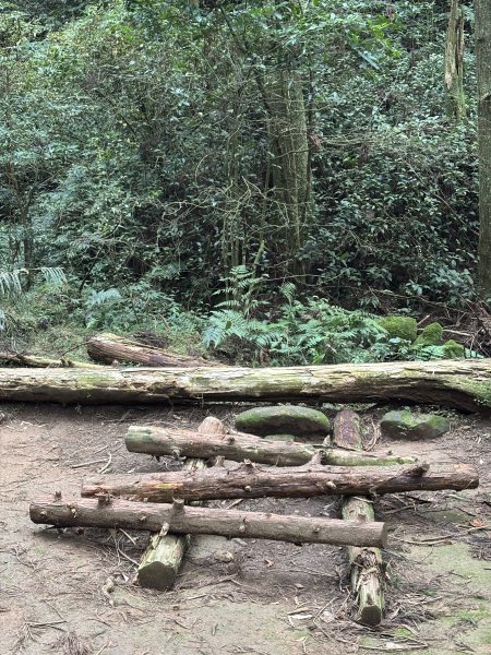 陽明山東西大縱走-東段2984522