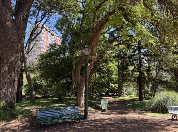 [紐約馬之行-60] 2025_1114 卡洛斯·泰斯植物園-下2954203