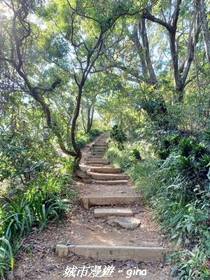 【新北中和】小百岳~烘爐地登山步道 (南勢角山)2950588