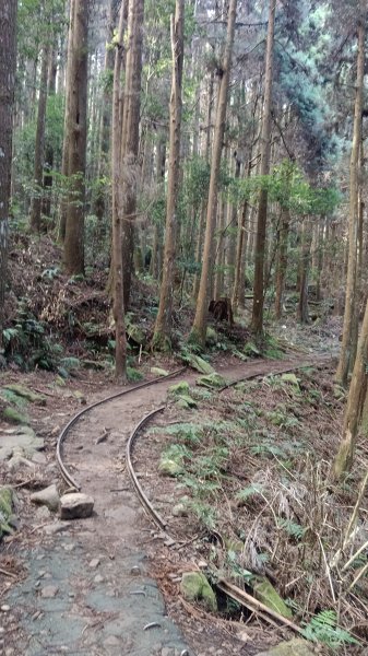 探加里山路徑2054198