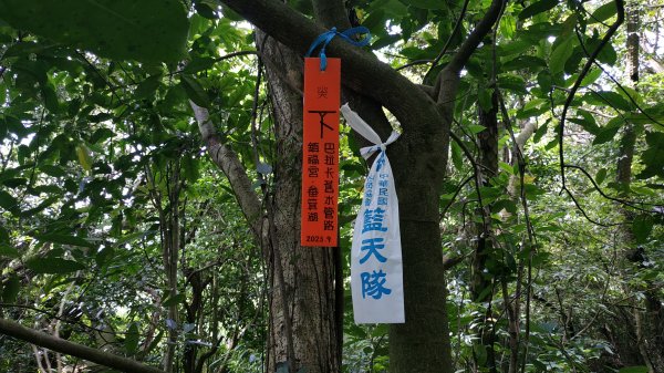 ✅糞箕湖稜線古道至興福寮步道0.8K處 (總計3段陡坡架繩.更新路條233.全段修徑開通)2382419