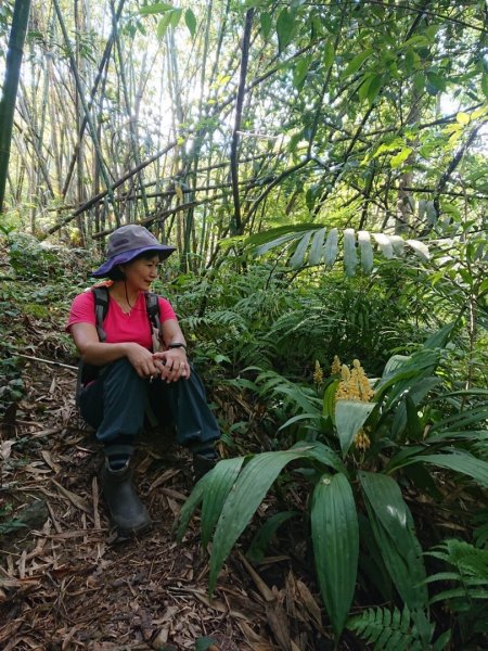 畝畝山、青林山、石古井、石硿子瀑布、石硿子古道O走1492832