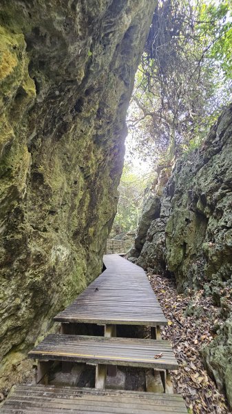 【柴山、壽山、萬壽山，到底哪個才是你！🤣🤣】走一座可以映照出高雄不同時期歷史軌跡的山。3025846