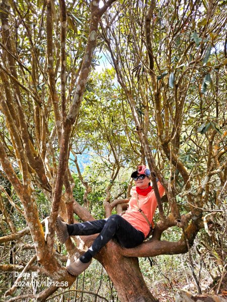 【谷關七雄】波津加(H1771.6m)肉腳配速成功2670482