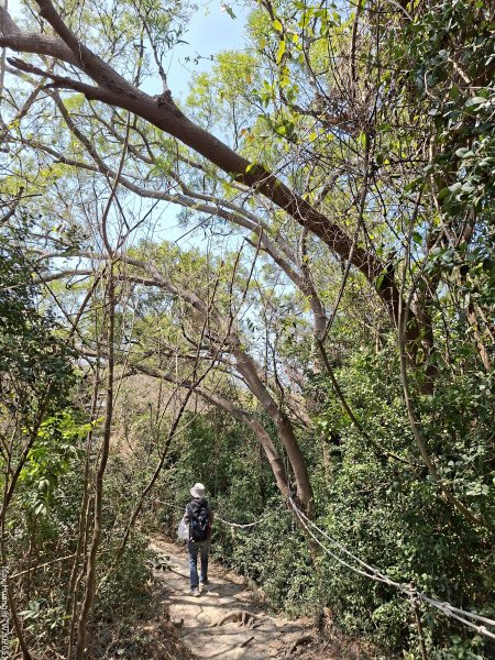 《高雄》泥岩惡地｜漯底山自然公園大O繞順訪永安、茄萣濕地202603133014677