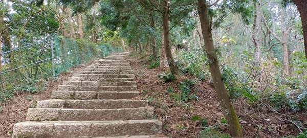 大分林山步道-2022/01/081577926