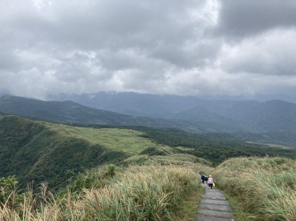 【新北-臺灣百大必訪步道】灣坑頭山→福德山→桃源谷草嶺線→大溪線→蕃薯寮山→大溪火車站1524563