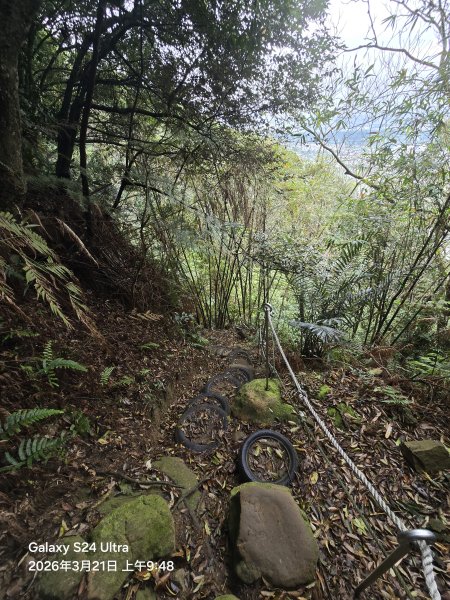 2026-03-21微笑山線：【鳶山山系】鳶山彩壁段3020471