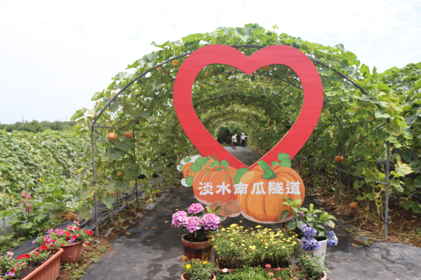 2025-05-08 淡水南瓜隧道─灰瑤子站→淡水南瓜隧道→屯山荷花園→台北小奈良→德安居古厝→紫藤咖啡園→屯山國小站