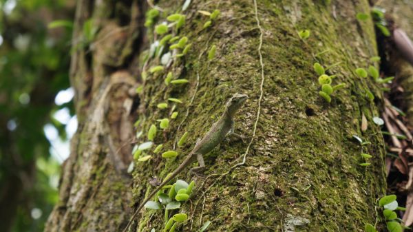 新溪洲山之樂400326