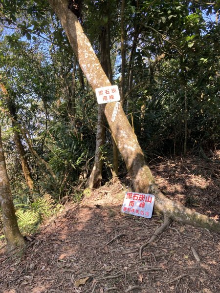 20260219九龍山+崩山+黑石崁山南峰+黑石崁山+凍仔頂山3002568