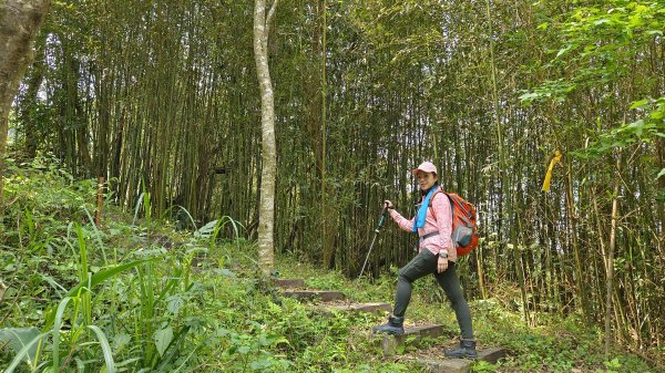 (姨婆趴趴走)第四集:桃園枕頭山古砲台步道、枕頭山、枕頭山西峰環狀縱走2111970