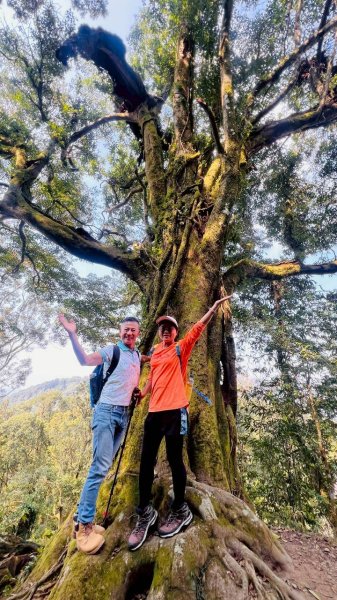 🌈3/21（六）頂湖上大凍山下奮起湖老街✨FB：熊熊趴爬走🌈3020182