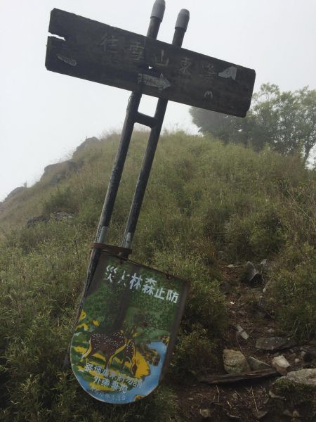 第8座百岳2018.8.18雪山東峰391082