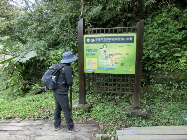平湖森林步道．內平林山109398