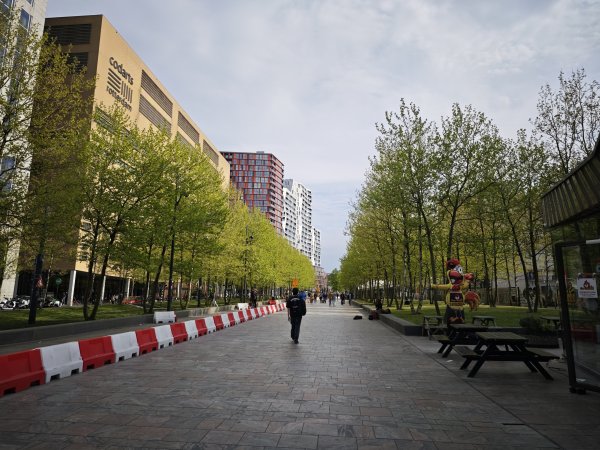 2025_0420 倫敦馬拉松順遊西歐 D2e(鹿特丹)2786203