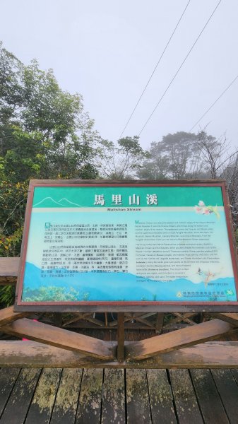 111/12/18藤枝森林園區東藤枝山、藤枝山1979557