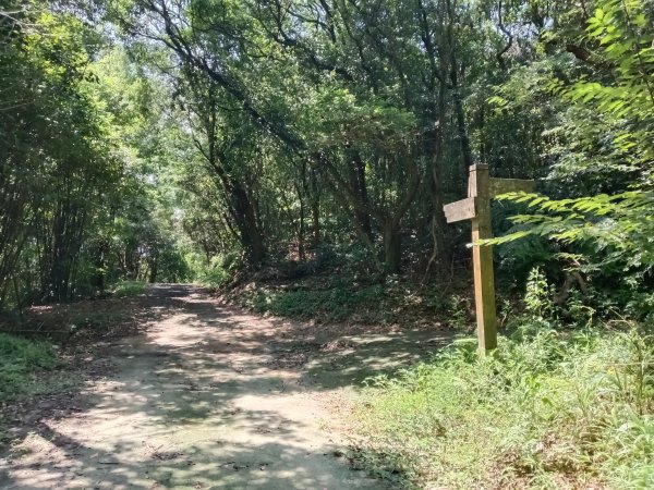 內湖區大丘田保甲路+開眼山+白石湖山+白石湖山東峰+大邱田山+消防山O型2858894