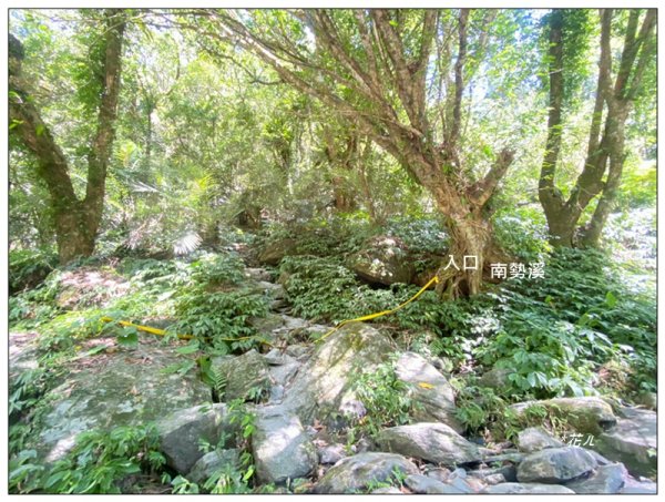 卡拉莫基步道、哈盆古道、波露南山 連走3094793
