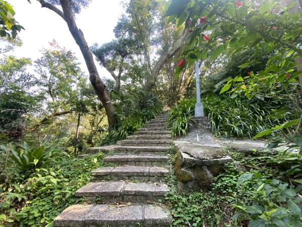 四獸山健走紀錄｜冬日九五峰健走｜福德街51巷起登 × 豹山溪步道下山2985882