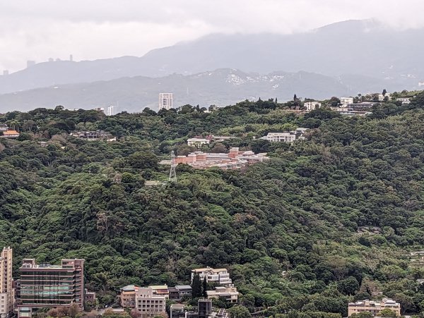 2023-01-23 劍潭山、大崙頭尾山親山步道2792278