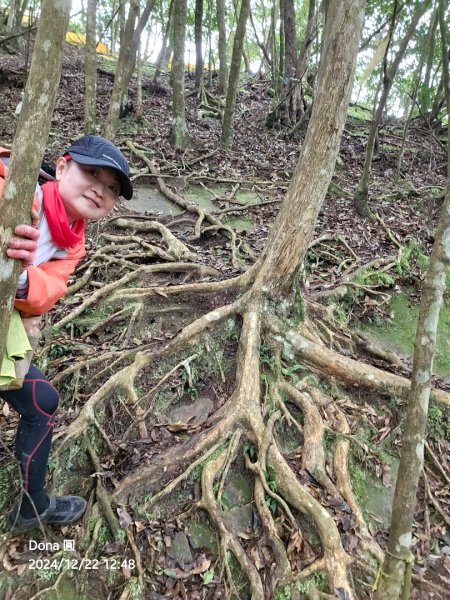 【苗栗郊山聖稜線】仙神象18連峰大縱走2675892