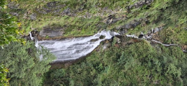 觀高山屋／龍貓公車／八通關山／八通關山西峰2927378