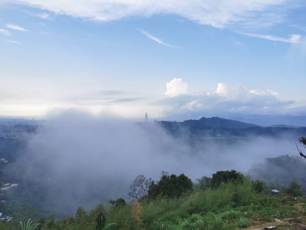 雨後猴山坑山嵐飄渺2405875