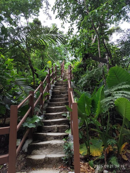 【臺北大縱走 6】富陽公園→福州山公園→中埔山東峰→軍功山→糶米古道→南港山→九五峰→中華科大步道2894733