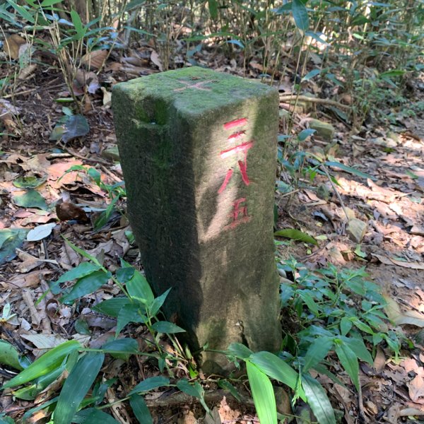 20250809高雄尾寮山(第21刷)2857293