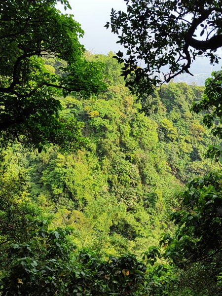 臺北大縱走第一段：關渡至二子坪2790231