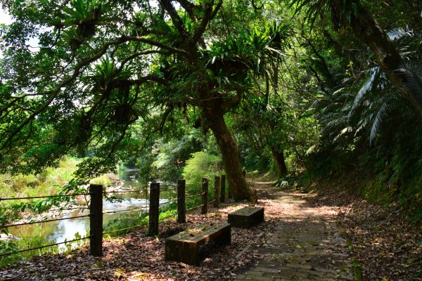 灣潭古道深潭之美&願山友發揮愛心護持百年土地公廟1788987