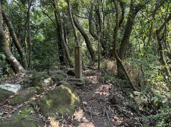 [微笑山線_第八段] 2026_0411 二格山系_筆架山北峰3035119