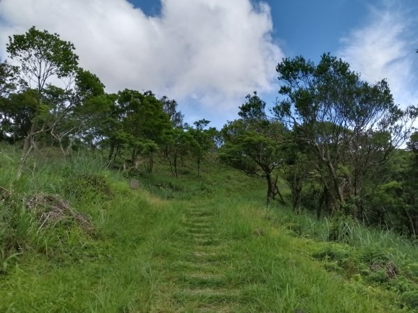 坪林區司公髻尾山+虎寮潭吊橋+粗石斛吊橋+大舌湖步道+漁光派出所2794285