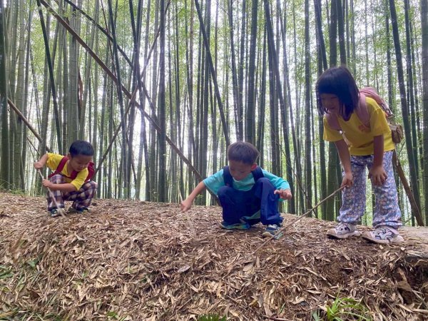 🌈17（日）雲嶺之丘+五元二角+木馬古道✨FB：熊熊趴爬走🌈2861679