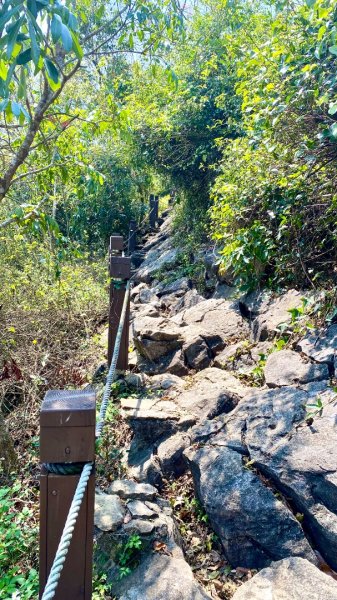 龍麟山登山步道2730762