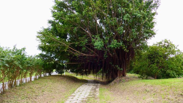 華江自然公園,華中河濱公園2651934