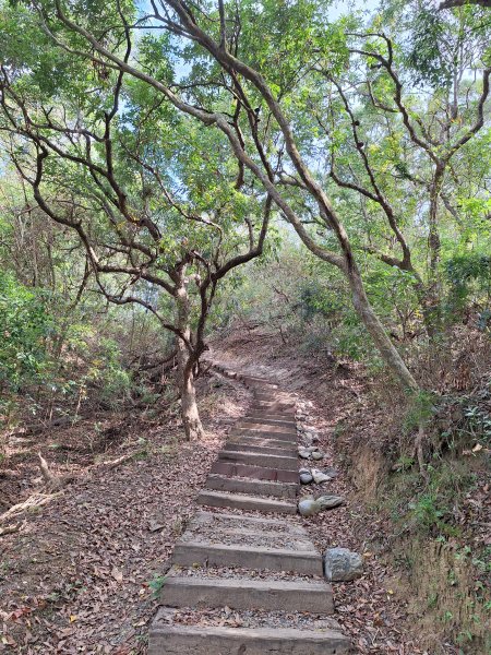 南化鈺鼎步道上糖子恩山+北峰202503152736897