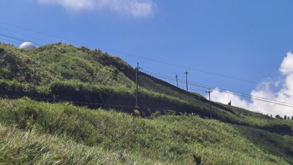 《老鷹怎麼這麼多》五分山_小百岳#101146512