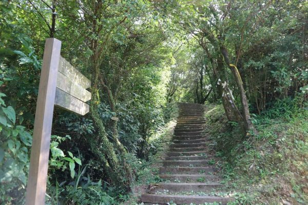 小百岳NO12  汐止大尖山 縱走海拔641公尺 四分子尾山2229059