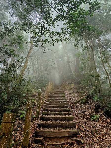 小百岳集起來-石壁山2184956