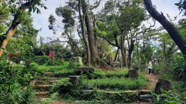 《台北》城市晨運｜虎山親山自然步道（松山慈惠堂）202505222795762