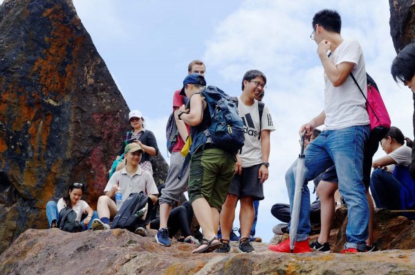 無耳茶壺山。黃金三稜539663