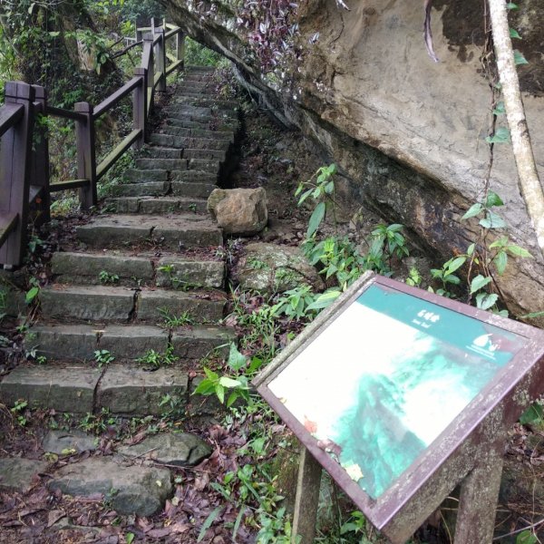 步道巡訪員 l 5月份崁頭山步道巡禮975311